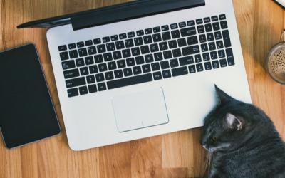 Microsoft Intune: Dit kontrolcenter til større device-sikkerhed