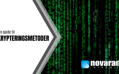 Forstå kryptering: Sådan beskytter du dine data